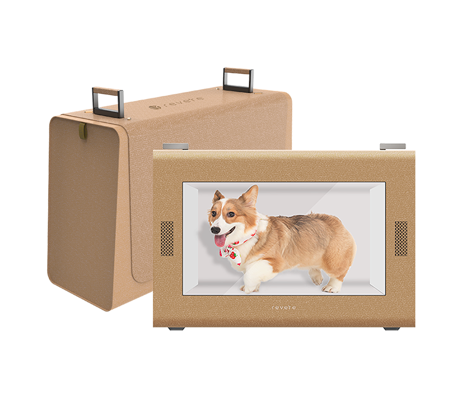 Holo Memory Case